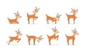 Set of deer. Royalty Free Stock Photo